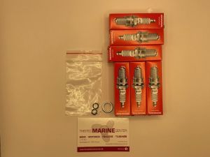 Service kit - 100 timer - Honda BF175D, 200D, 225D, 250D