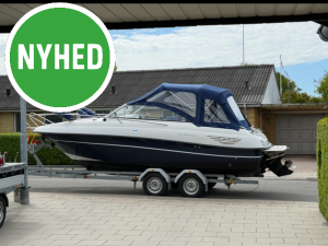 Askeladden 645 Beetle