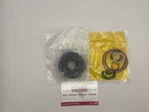 Evinrude power trim reparationskit . E-tec 75-115