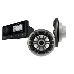 FUSION MS-RA60KSPG- kompakt AM / FM / DAB+ marine stereo inkl. højttalere og antenne